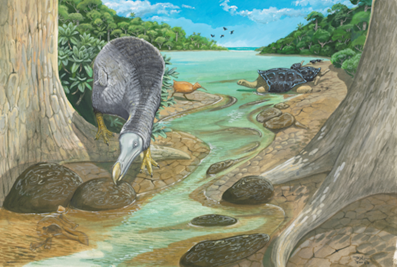 Image Courtesy of Julian Pender Hume